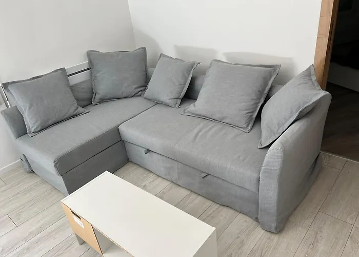 App 2 Mulhouse Centre , 6 Personnes